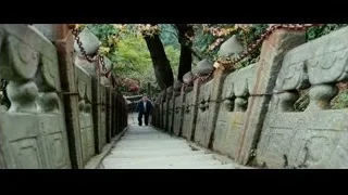 man walking on stone pathway in park — The Karate Kid