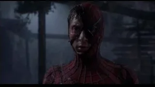 Spiderman close-up with serious expression — Spider Man