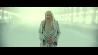 elderly man in foggy corridor with pillars — Harry Potter and the Deathly Hallows 2