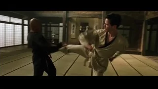 man performing martial arts kick — The Matrix