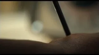 hand writing on paper — The Bear