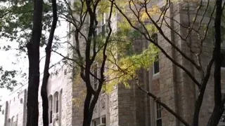 Old stone building with arched windows — Suits