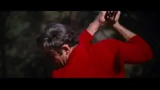 man in red turtleneck deep in thought — Bruce Lee: Enter The Dragon