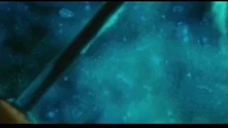 Black rod submerged in blue-green water — Life of Pi