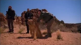 Two men with bat in desert — Breaking Bad