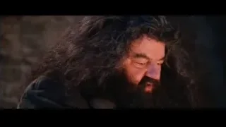 man with beard deep in thought in fog — Harry Potter and the Philosophers Stone