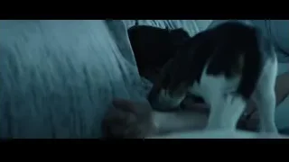 person and dog lying in bed — John Wick